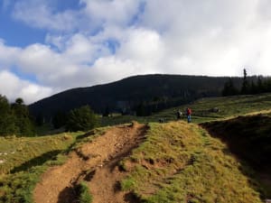 Soare in Poiana Zanoaga din Piatra Craiului